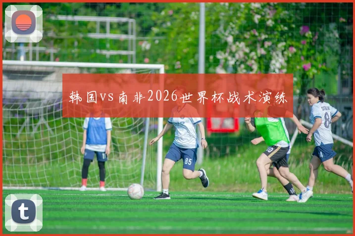 韩国vs南非2026世界杯战术演练