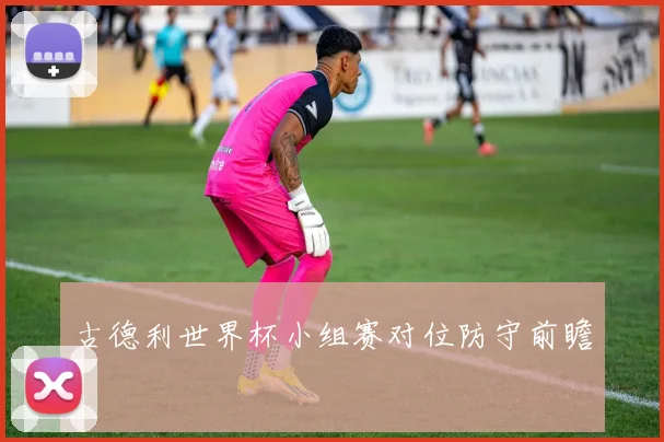 古德利世界杯小组赛对位防守前瞻