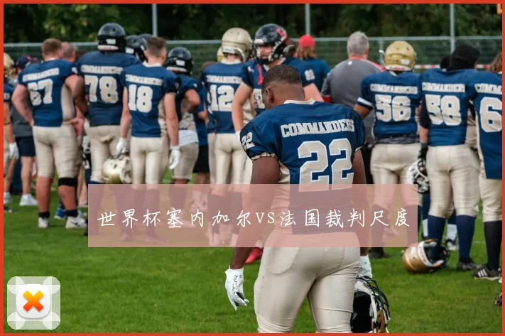 世界杯塞内加尔vs法国裁判尺度