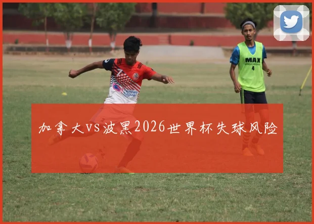 加拿大vs波黑2026世界杯失球风险